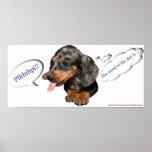 Dachshund Puppy Attitude Poster posters