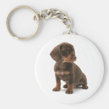 Dachshund Puppy Keychain
