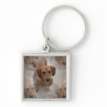 Dachshund Rescue Keychain