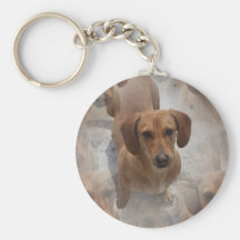 Dachshund Rescue Keychain