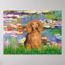 Dachshund (sable long haired) - Lilies 2 Print