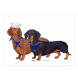 Dachshund Sailors Post Card