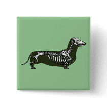 dachshund skeleton buttons