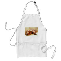 Dachshund sleeping apron