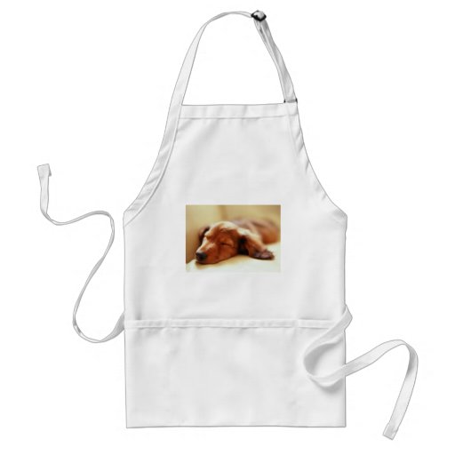 Dachshund sleeping apron