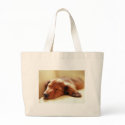 Dachshund sleeping bags