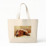 Dachshund sleeping bags