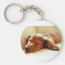 Dachshund sleeping keychain