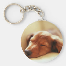 Dachshund sleeping keychains