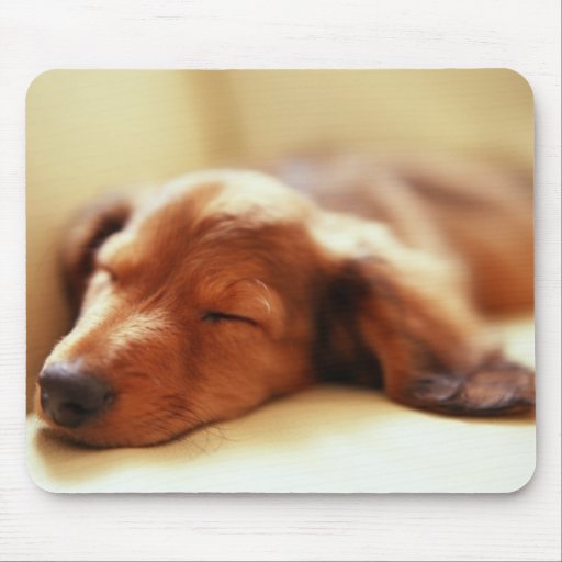 Dachshund sleeping mouse mat