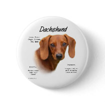 Dachshund (smooth) History Design