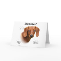Dachshund (smooth) History Design