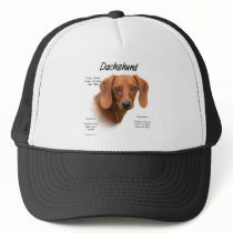 Dachshund (smooth) History Design