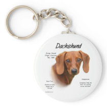 Dachshund (smooth) History Design