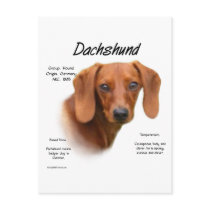 Dachshund (smooth) History Design