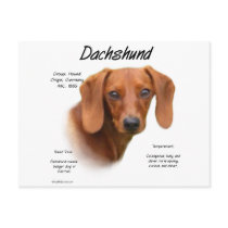 Dachshund (smooth) History Design