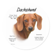 Dachshund (smooth) History Design