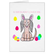 Dachshund Somebunny Loves Me cards