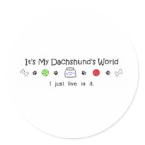 Dachshund