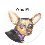 Dachshund stickers