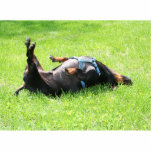Dachshund - TGIF Cut Outs