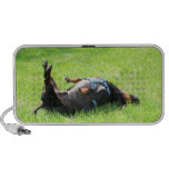 Dachshund - TGIF Speaker System