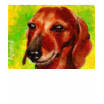 Dachshund t-shirts