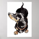 Dachshund watercolour painting by Annabel Tarrant posters