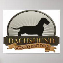 Dachshund [Wire-haired] Posters