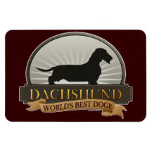 Dachshund [Wire-haired] Rectangular Magnets