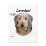 Dachshund (wirehair) History Design postcards