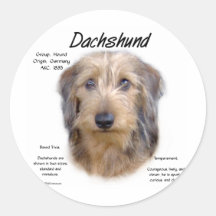 Dachshund (wirehair) History Design Round Stickers