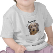 Dachshund (wirehair) History Design Tee Shirts