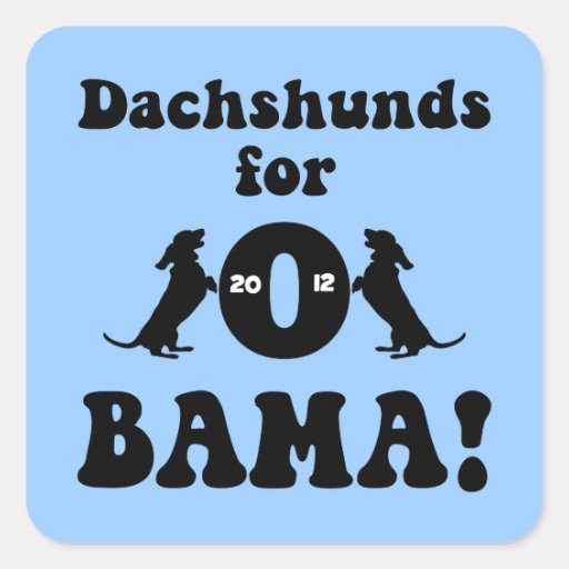 dachshunds for Obama Square Sticker