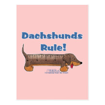 Dachshunds Rule Post Card