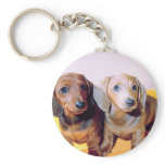 Dachsund Puppies keychains