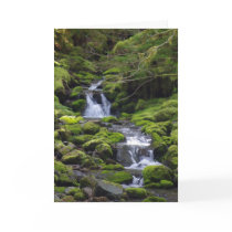 Dad Birthday General Cards
