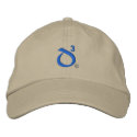 Dad of Triplets D3-Hat embroidered hats