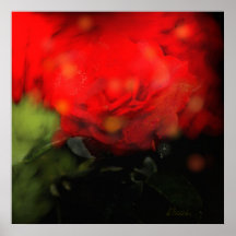 'Daddy's Roses' Poster