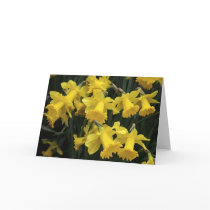 DAFF_3413_ADJUST