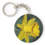 Daffodil and its meaning keychains