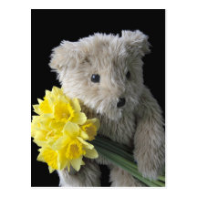 daffodil bear postcard
