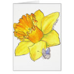 Daffodil blank card
