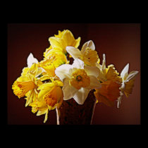 Daffodil Bouquet posters