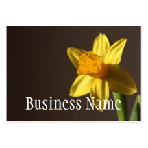 Daffodil  Business Card