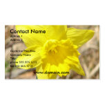 Daffodil Business Card