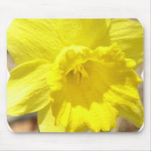 Daffodil Classic Mouse Pad