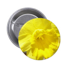 Daffodil Classic Round Pin