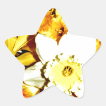 Daffodil Collage Stickers