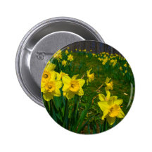 Daffodil Delight Pin